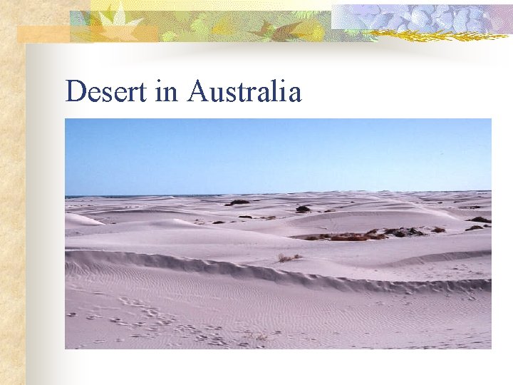 Desert in Australia 