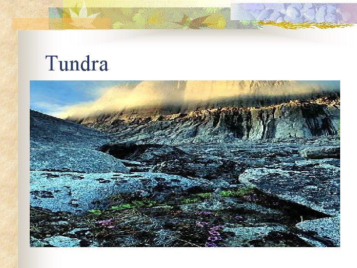 Tundra 