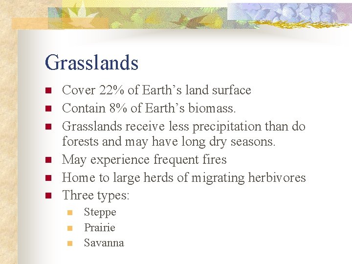 Grasslands n n n Cover 22% of Earth’s land surface Contain 8% of Earth’s