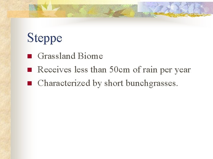 Steppe n n n Grassland Biome Receives less than 50 cm of rain per