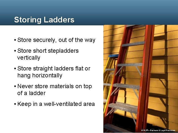 Storing Ladders • Store securely, out of the way • Store short stepladders vertically