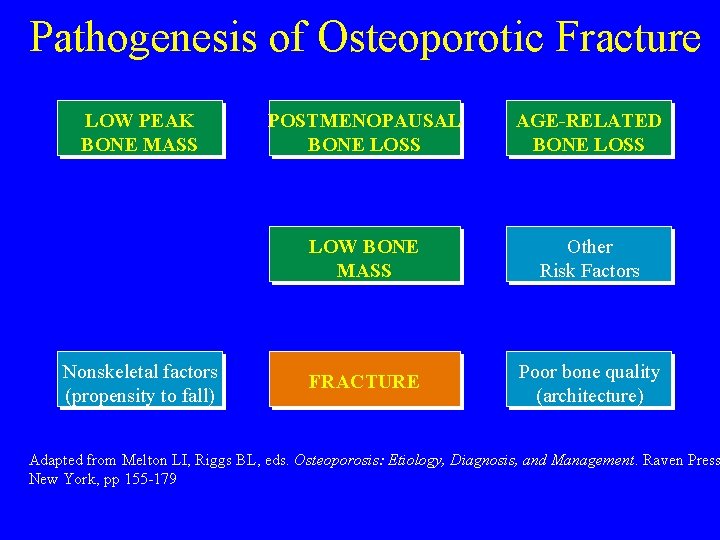 Pathogenesis of Osteoporotic Fracture LOW PEAK BONE MASS Nonskeletal factors (propensity to fall) POSTMENOPAUSAL