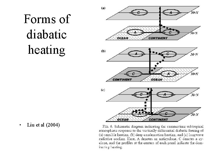 Forms of diabatic heating • Liu et al (2004) 