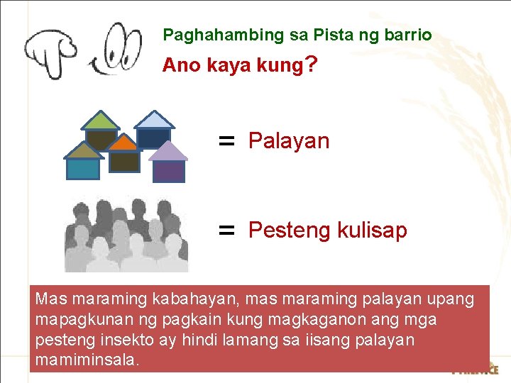 Paghahambing sa Pista ng barrio Ano kaya kung? = Palayan = Pesteng kulisap Mas