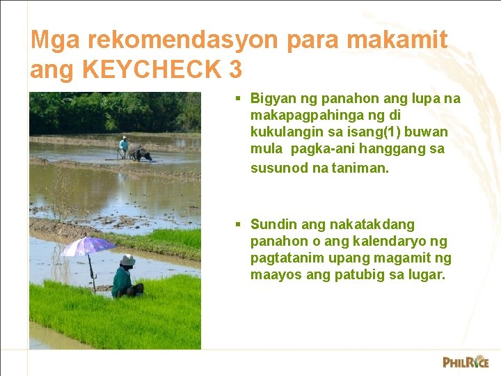 Mga rekomendasyon para makamit ang KEYCHECK 3 § Bigyan ng panahon ang lupa na