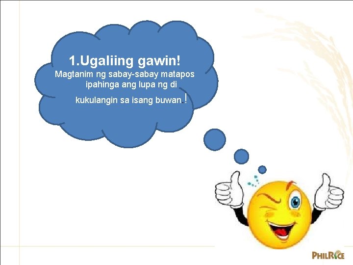 1. Ugaliing gawin! Magtanim ng sabay-sabay matapos ipahinga ang lupa ng di kukulangin sa