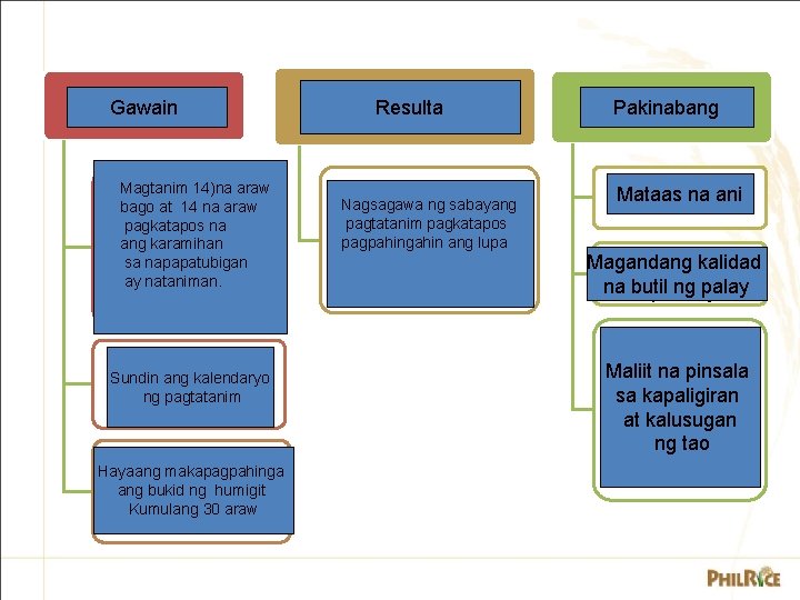 Gawain INPUTS Magtanim 14)na araw Planting days bago at 1414 na araw before &