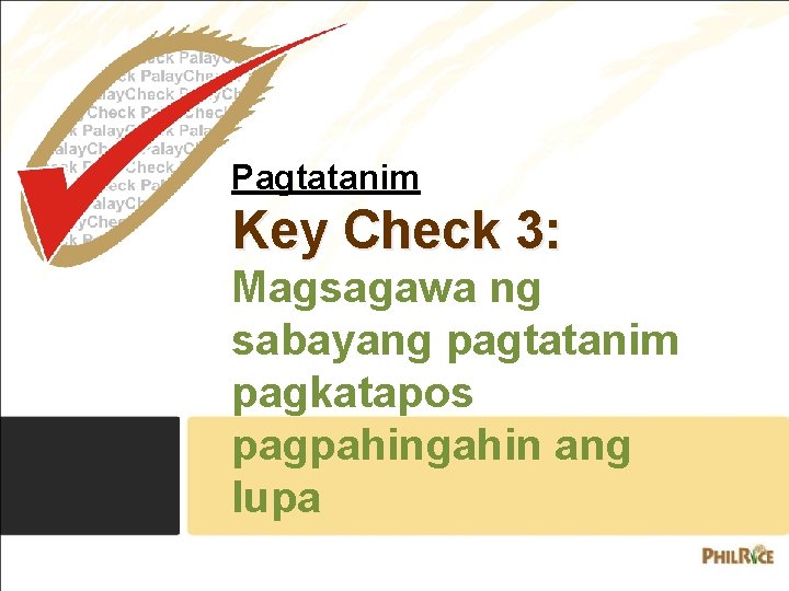 Pagtatanim Key Check 3: Magsagawa ng sabayang pagtatanim pagkatapos pagpahingahin ang lupa 