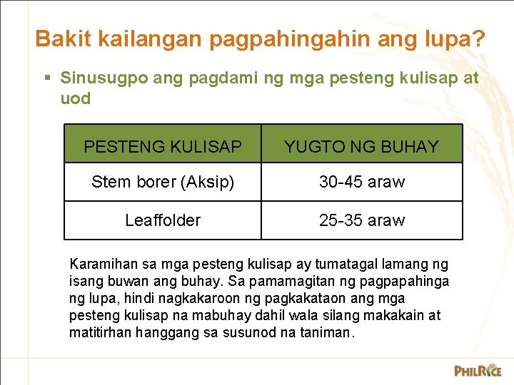 Bakit kailangan pagpahingahin ang lupa? § Sinusugpo ang pagdami ng mga pesteng kulisap at