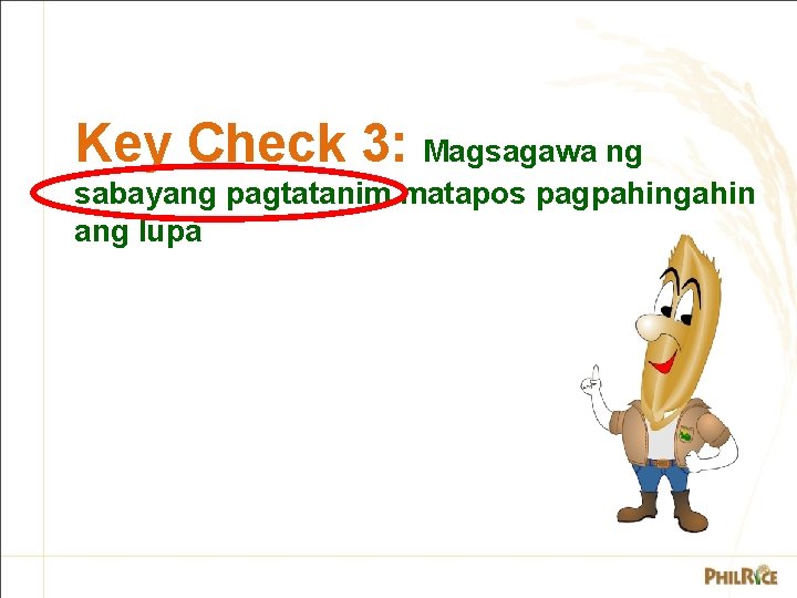 Key Check 3: Magsagawa ng sabayang pagtatanim matapos pagpahingahin ang lupa 