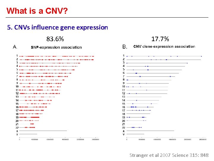 What is a CNV? 5. CNVs influence gene expression 83. 6% 17. 7% Stranger