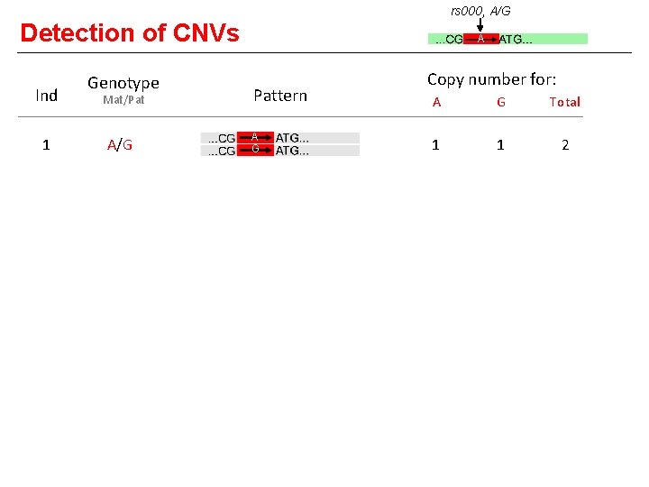 rs 000, A/G Detection of CNVs Ind Genotype Mat/Pat A Copy number for: Pattern