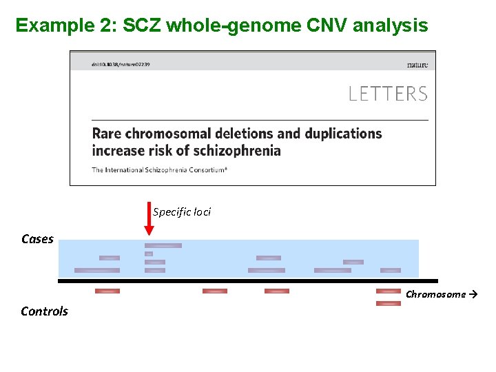 Example 2: SCZ whole-genome CNV analysis Specific loci Cases Chromosome → Controls 