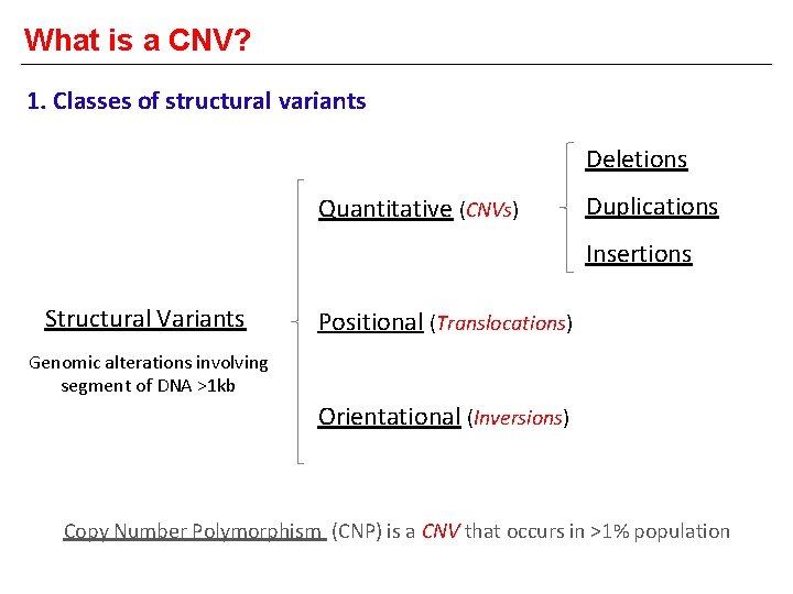 What is a CNV? 1. Classes of structural variants Deletions Quantitative (CNVs) Duplications Insertions