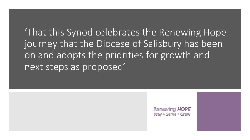 ‘That this Synod celebrates the Renewing Hope journey that the Diocese of Salisbury has