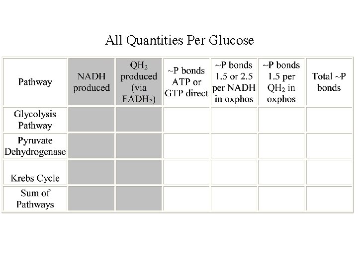 All Quantities Per Glucose 