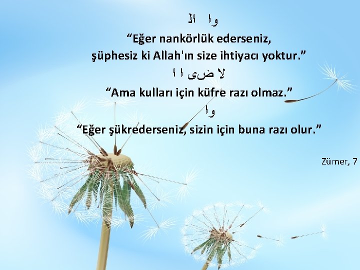  ﻭﺍ ﺍﻟ “Eğer nankörlük ederseniz, şüphesiz ki Allah'ın size ihtiyacı yoktur. ” ﻻ