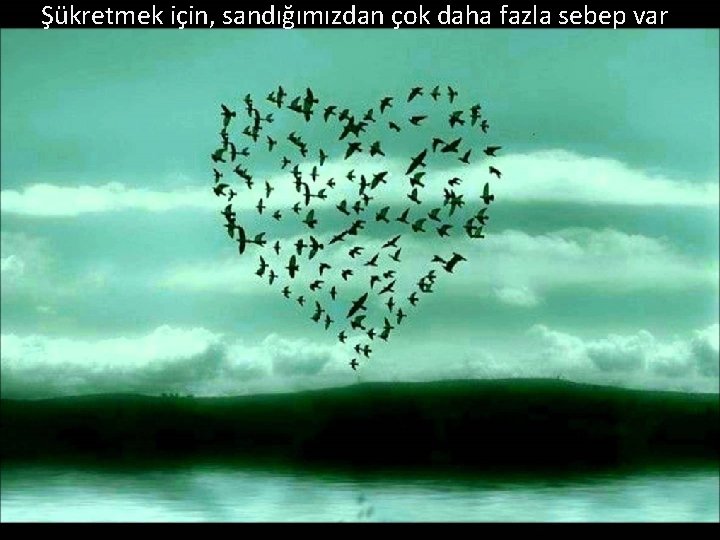 Şükretmek için, sandığımızdan çok daha fazla sebep var 