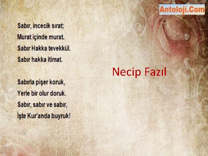 Necip Fazıl 