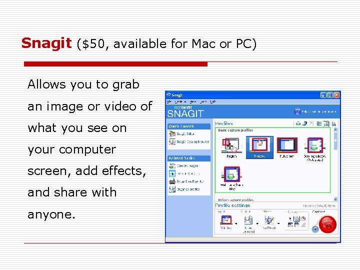 Snagit ($50, available for Mac or PC) Allows you to grab an image or