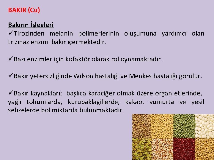 BAKIR (Cu) Bakırın İşlevleri üTirozinden melanin polimerlerinin oluşumuna yardımcı olan trizinaz enzimi bakır içermektedir.