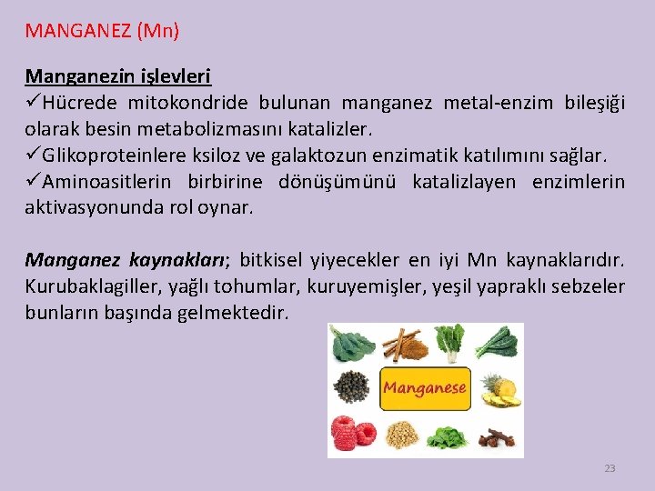 MANGANEZ (Mn) Manganezin işlevleri üHücrede mitokondride bulunan manganez metal-enzim bileşiği olarak besin metabolizmasını katalizler.