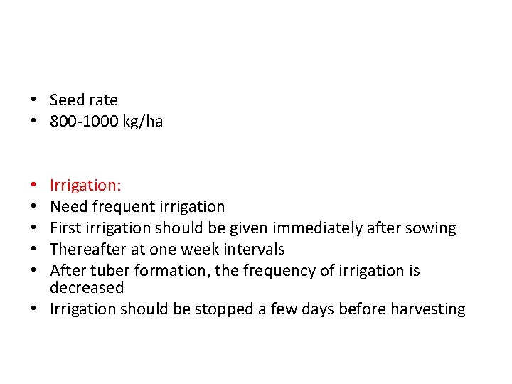  • Seed rate • 800 -1000 kg/ha Irrigation: Need frequent irrigation First irrigation