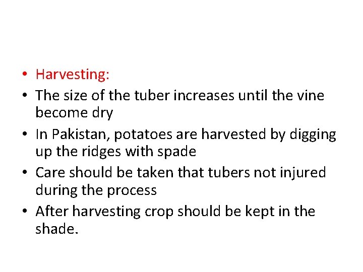  • Harvesting: • The size of the tuber increases until the vine become