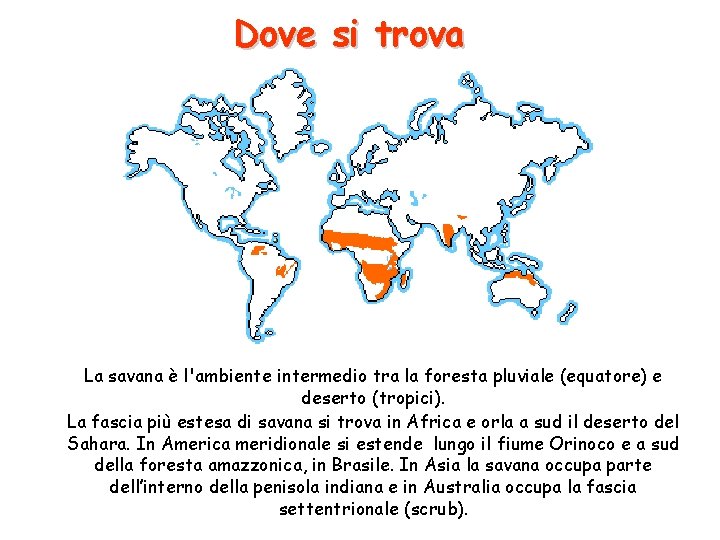 Dove si trova La savana è l'ambiente intermedio tra la foresta pluviale (equatore) e