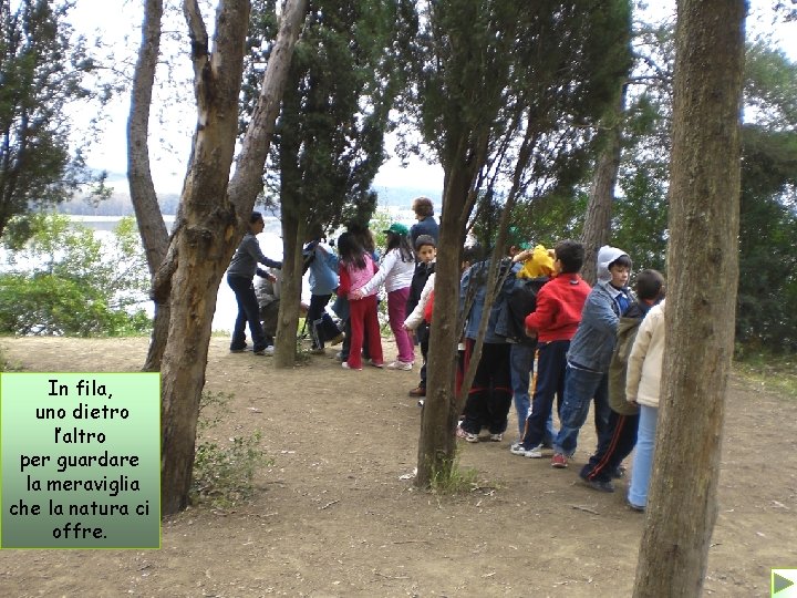 In fila, uno dietro l’altro per guardare la meraviglia che la natura ci offre.