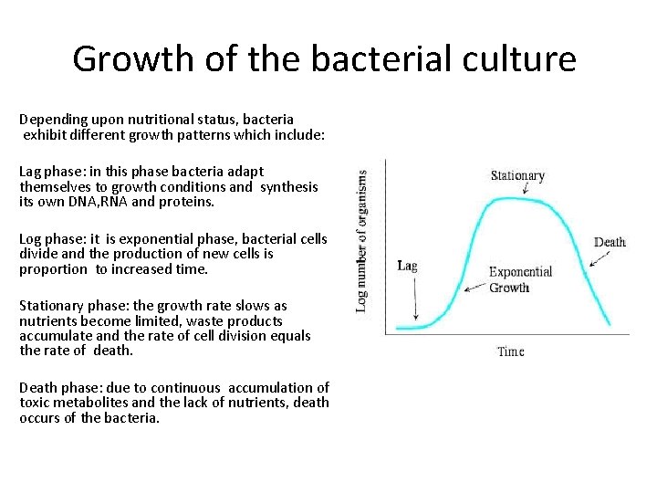 Growth of the bacterial culture Depending upon nutritional status, bacteria exhibit different growth patterns