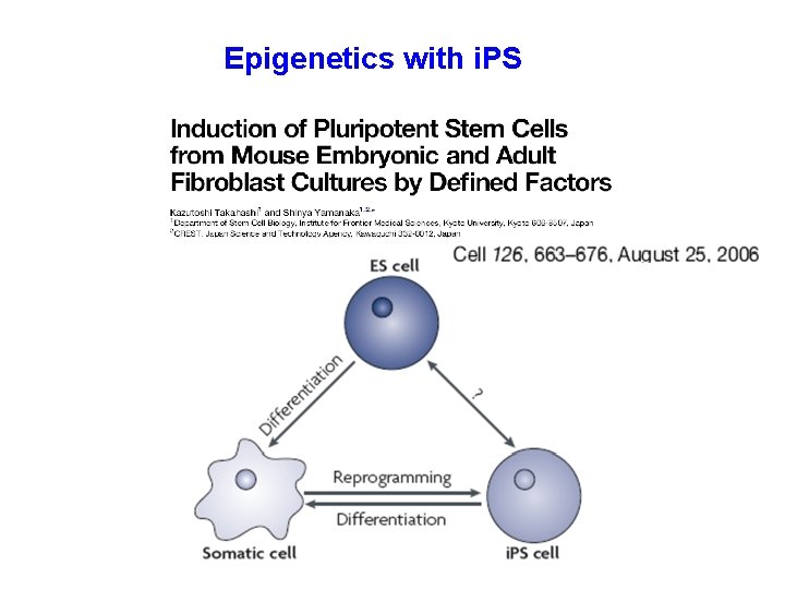 Epigenetics with i. PS 