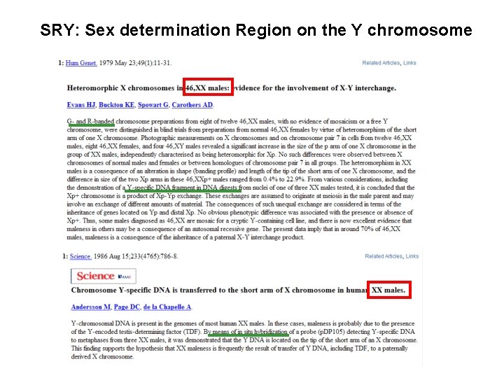 SRY: Sex determination Region on the Y chromosome 