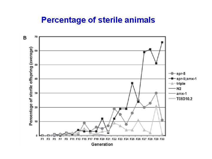 Percentage of sterile animals 