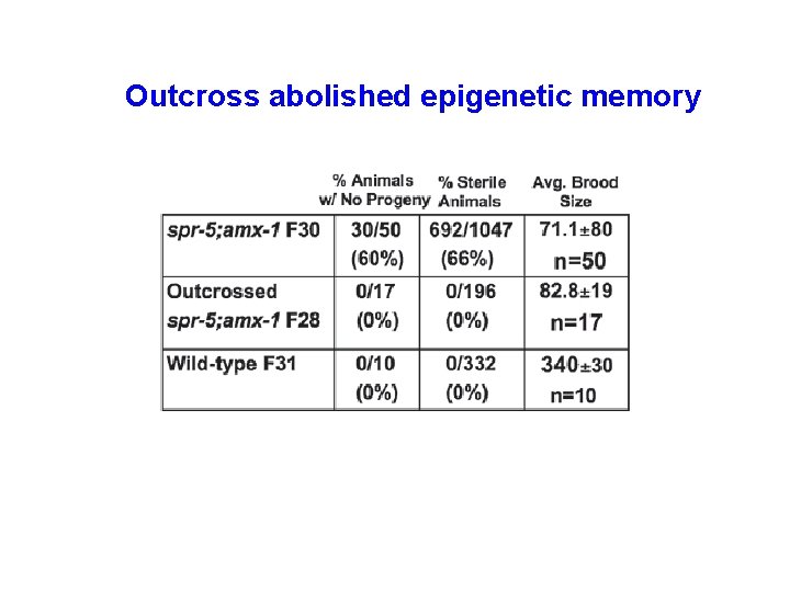 Outcross abolished epigenetic memory 