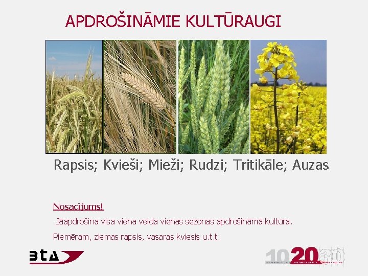 APDROŠINĀMIE KULTŪRAUGI Rapsis; Kvieši; Mieži; Rudzi; Tritikāle; Auzas Nosacījums! Jāapdrošina visa viena veida vienas