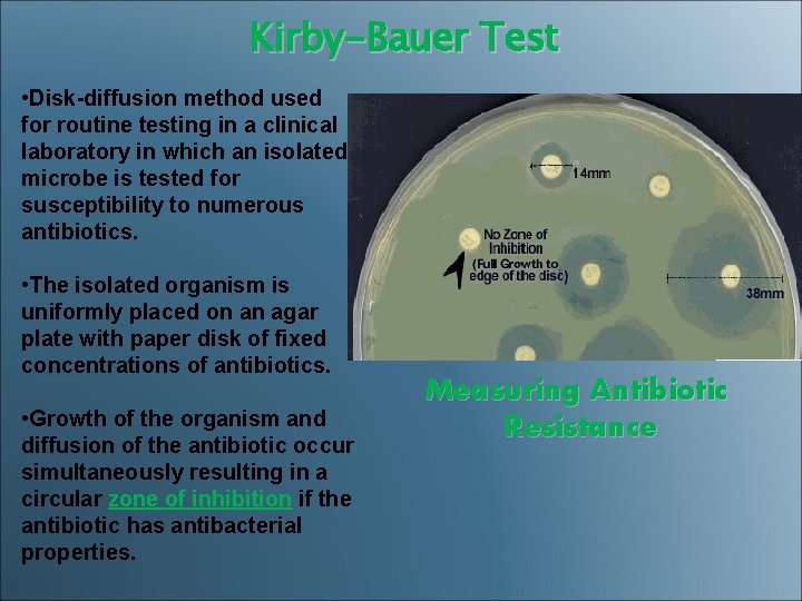 Kirby-Bauer Test • Disk-diffusion method used for routine testing in a clinical laboratory in