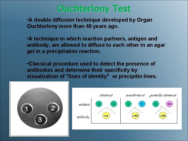 Ouchterlony Test • A double diffusion technique developed by Organ Ouchterlony more than 40