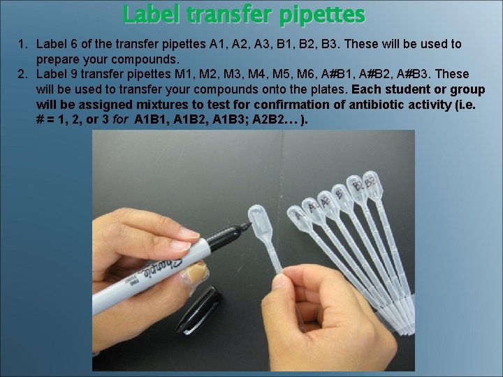 Label transfer pipettes 1. Label 6 of the transfer pipettes A 1, A 2,