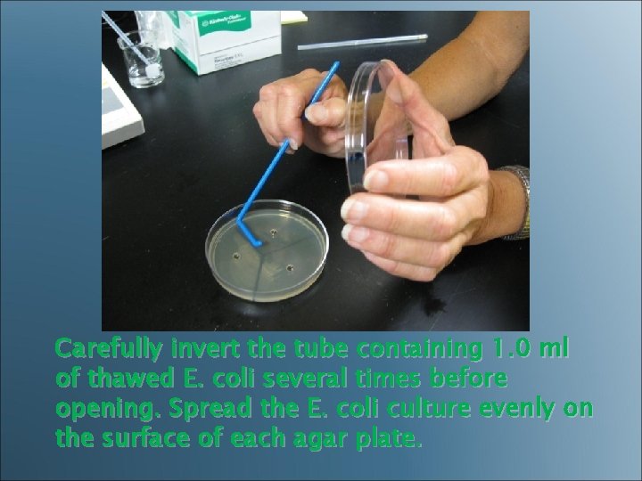 Carefully invert the tube containing 1. 0 ml of thawed E. coli several times