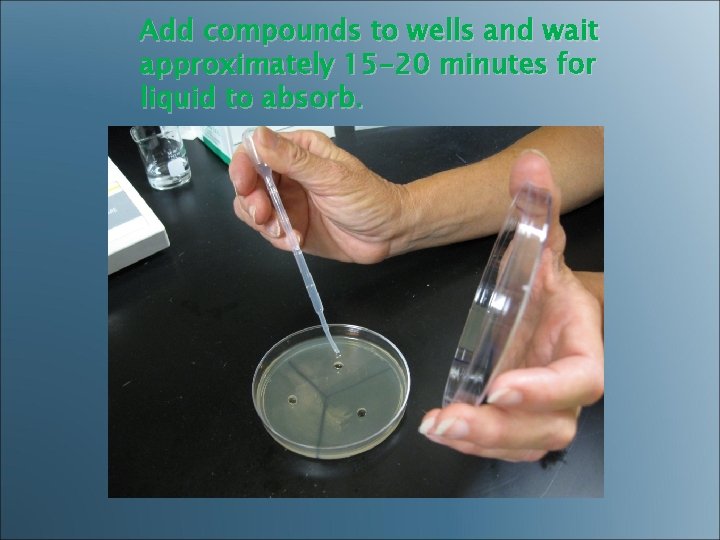 Add compounds to wells and wait approximately 15 -20 minutes for liquid to absorb.