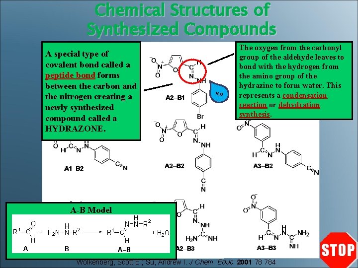 Chemical Structures of Synthesized Compounds A special type of covalent bond called a peptide