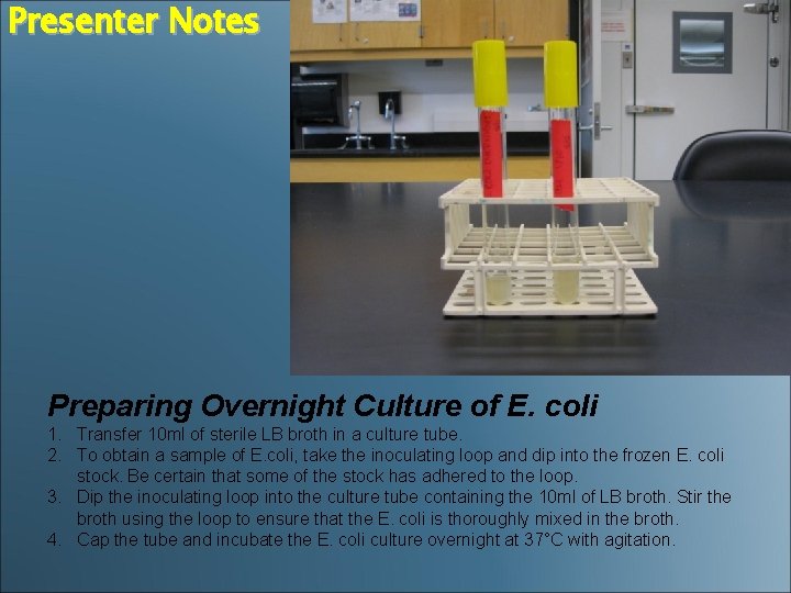 Presenter Notes Preparing Overnight Culture of E. coli 1. Transfer 10 ml of sterile