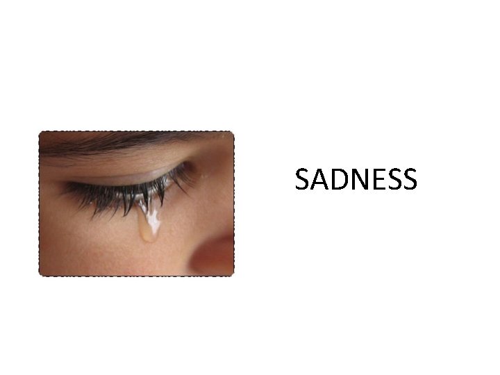 SADNESS  SADNESS