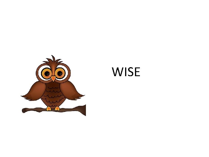 WISE  WISE