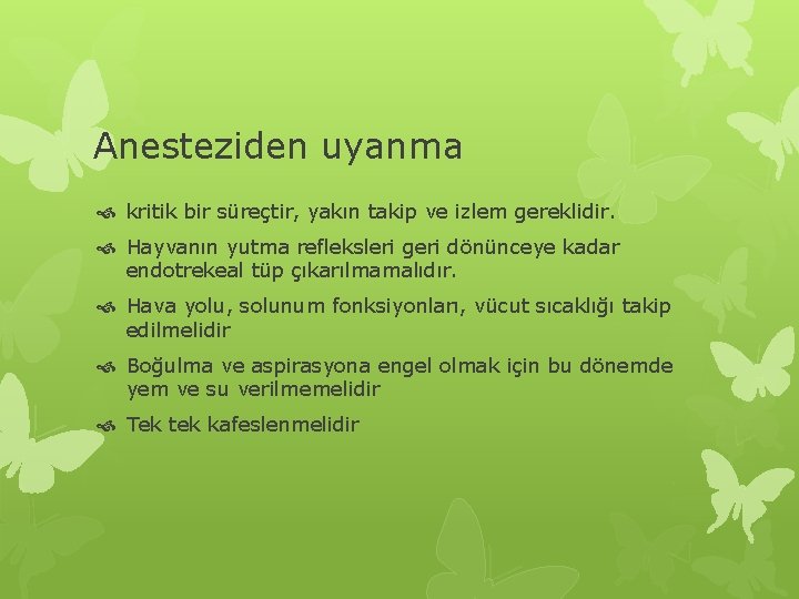 Anesteziden uyanma kritik bir süreçtir, yakın takip ve izlem gereklidir. Hayvanın yutma refleksleri geri