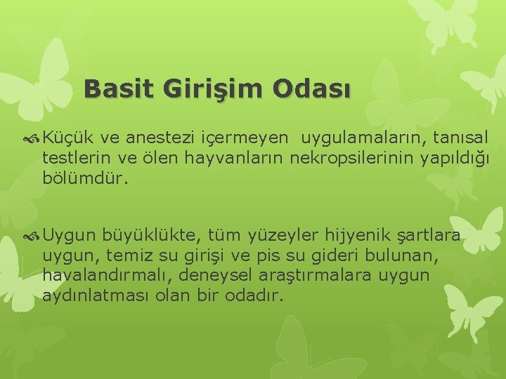 Basit Girişim Odası Küçük ve anestezi içermeyen uygulamaların, tanısal testlerin ve ölen hayvanların nekropsilerinin