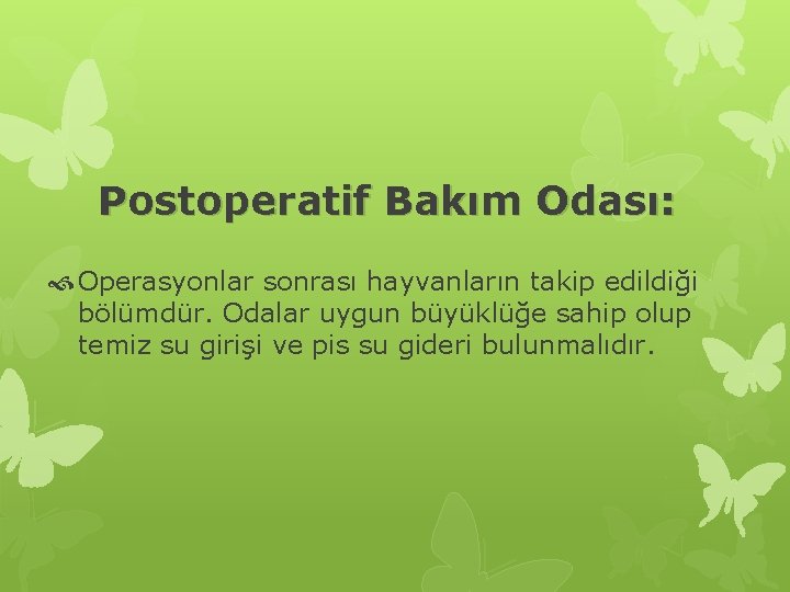 Postoperatif Bakım Odası: Operasyonlar sonrası hayvanların takip edildiği bölümdür. Odalar uygun büyüklüğe sahip olup