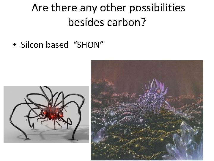  Are there any other possibilities besides carbon? • Silcon based “SHON” 
