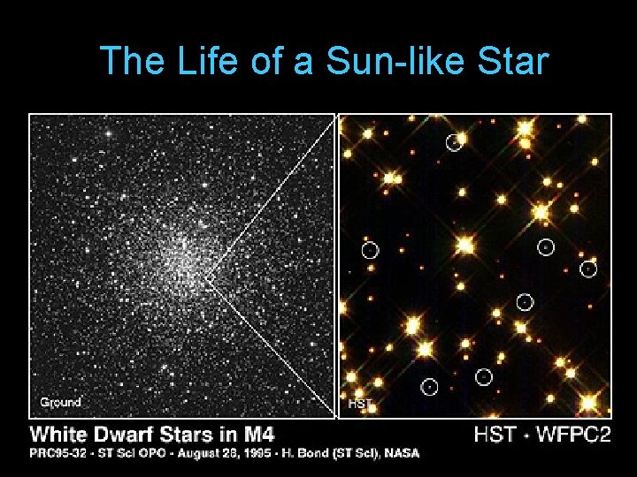 The Life of a Sun-like Star 